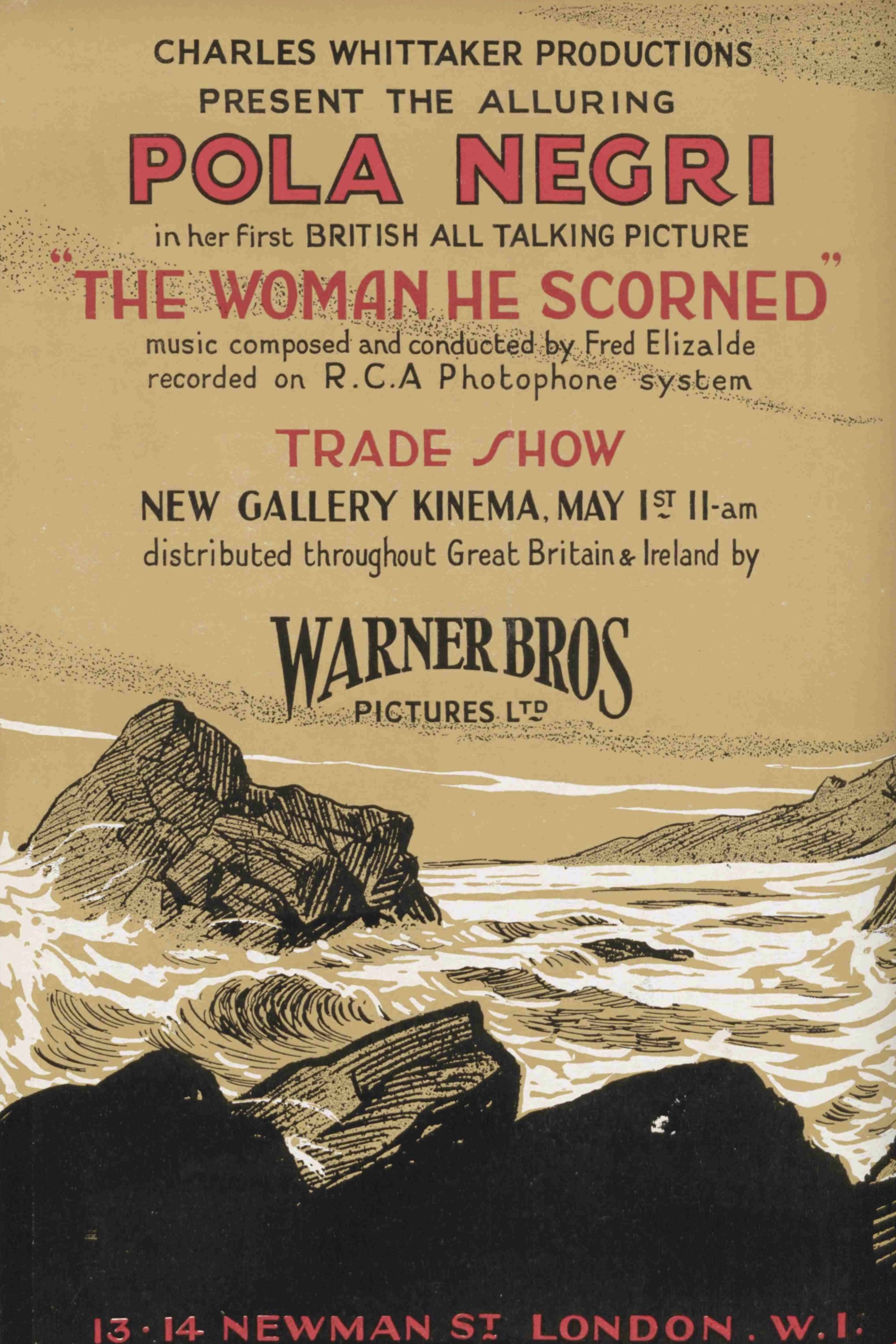 Постер The Woman He Scorned